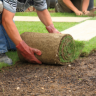 Sod Installation