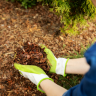 Mulch Placement